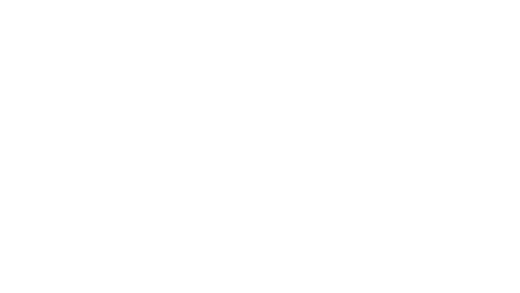 Impact Bridge Foundation